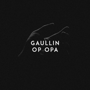 国产AV骚浪淫荡
